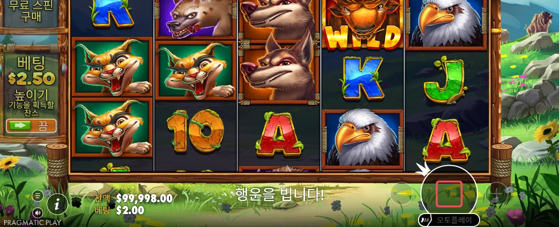야생 동물 릴 이동과 정지 버튼이 보이는 릴리즈 더 바이슨 화면