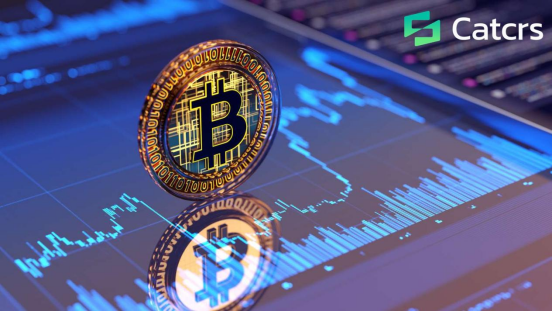 Catcrs Seizes the “Buy the Dip” Window in Crypto: Capturing Incremental Opportunities Amid Market Divergence