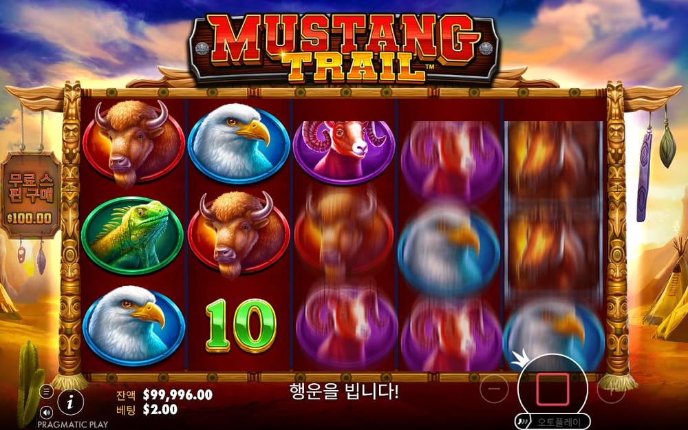머스탱 트레일 두 번째 스핀 정지 결과 실제 화면