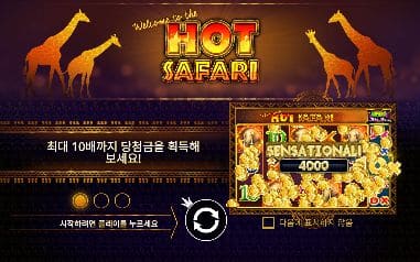핫 사파리 모바일 화면에서 본 실제 데모