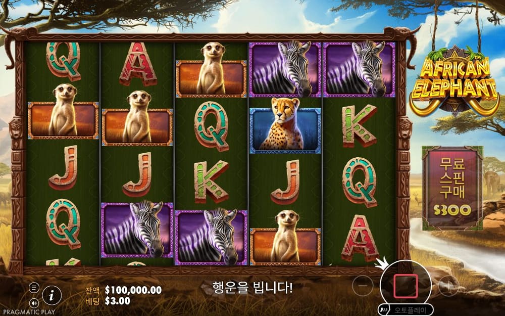 아프리칸 엘리펀트 첫 번째 스핀 진행 중 실제 화면