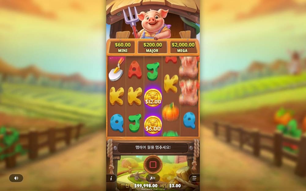 피그 팜 첫 번째 스핀 정지 결과 실제 화면