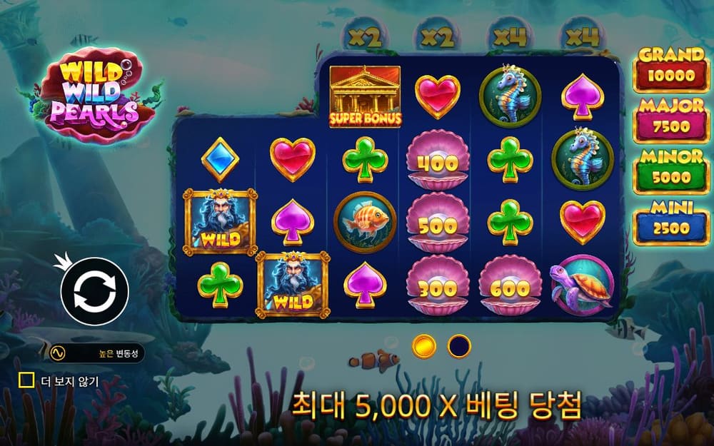 와일드 와일드 펄스 WILD WILD PEARLS 로고 아래 금액이 적힌 진주와 네모난 WILD 칸이 있습니다
