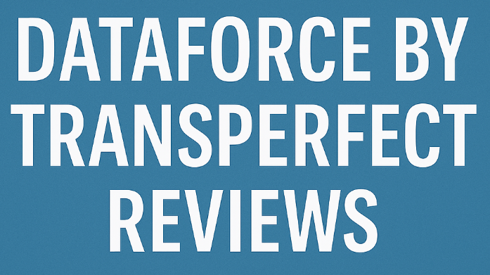 DataForce By TransPerfect review.png