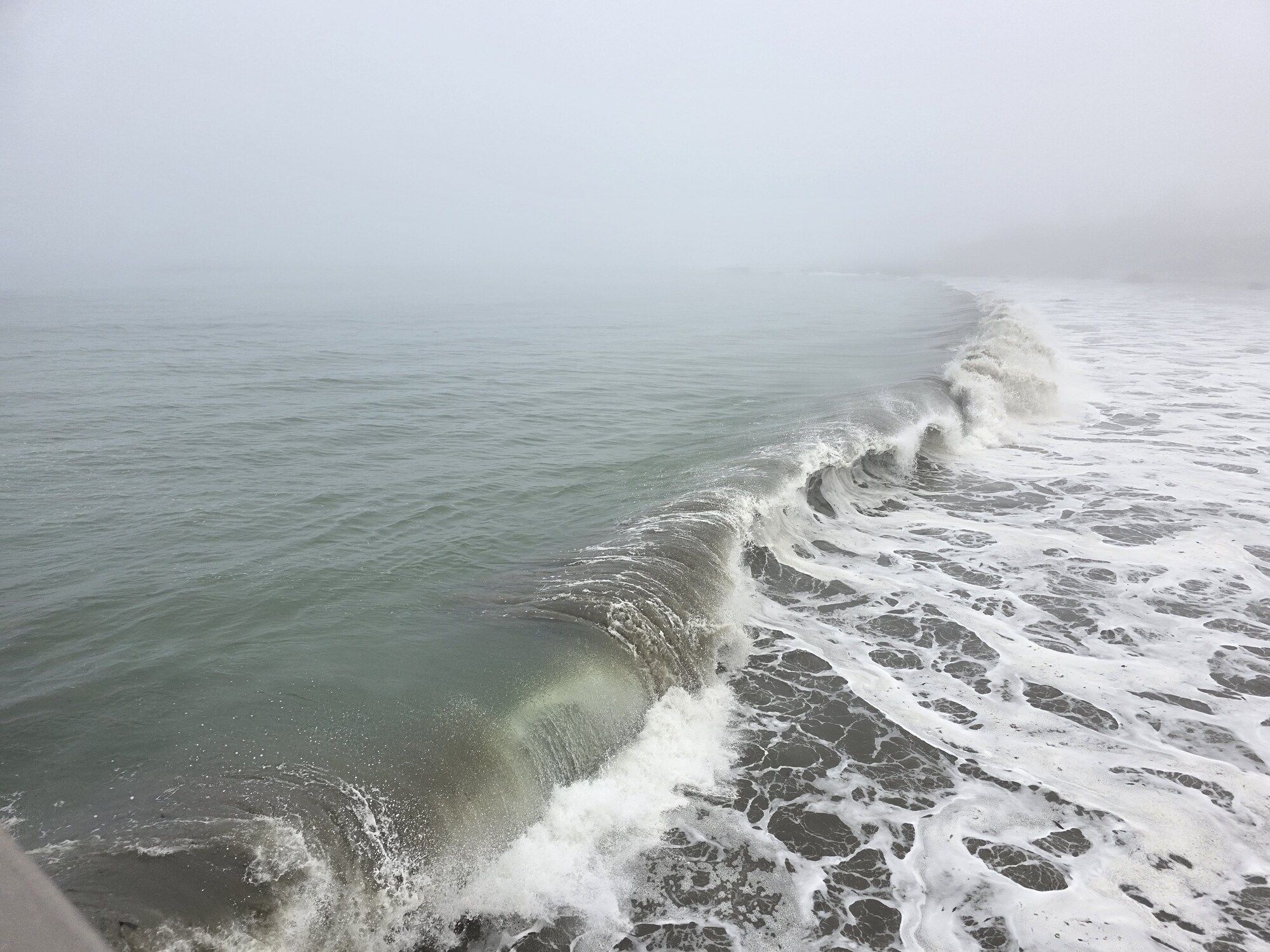 Cayucos-wave-1