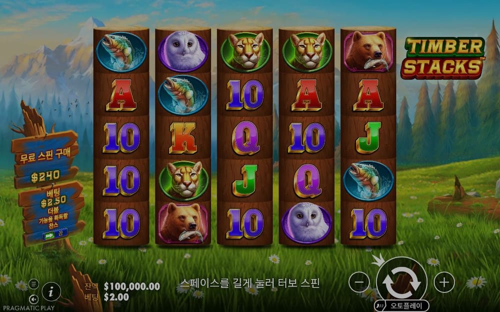 팀버 스택스 기본 보드와 하단 조작부 실제 화면