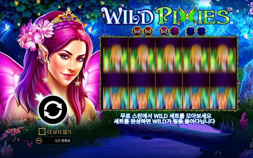 와일드 픽시스 기본 보드와 하단 조작부 실제 화면