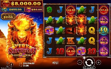 파이어 스탬피드 모바일 기본 결과