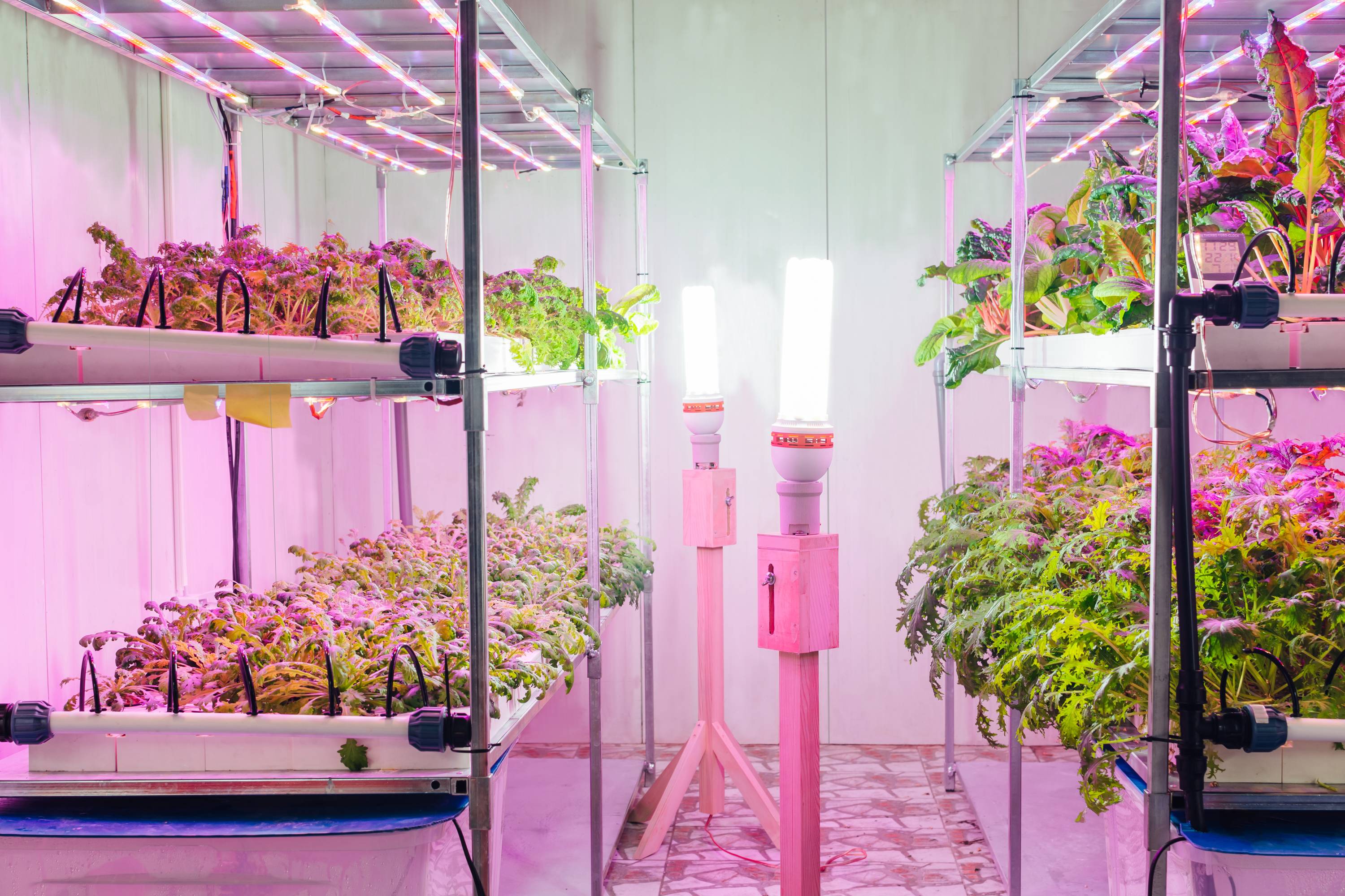 Grow Room Vinyl Panels.jpg