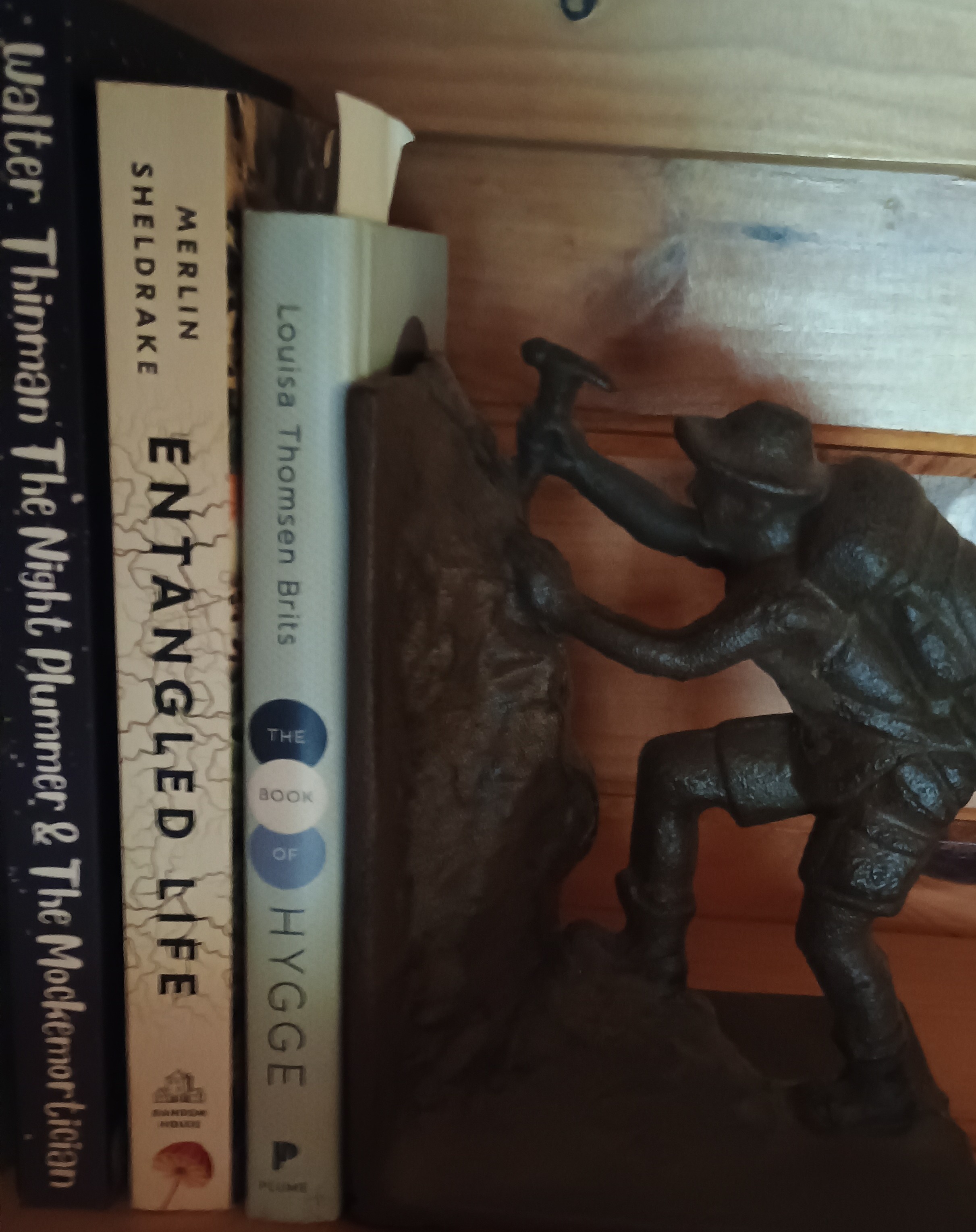 IMG_20251026_091034769~2