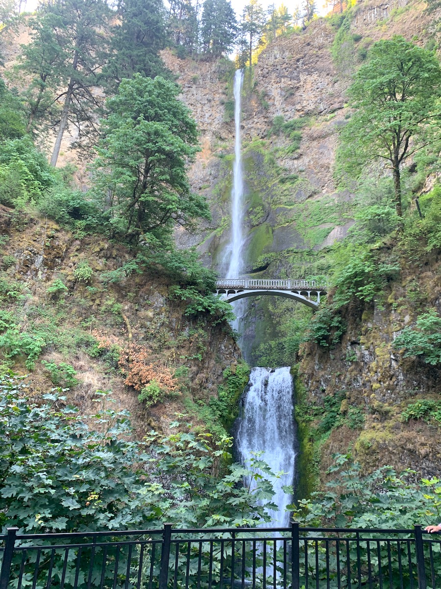 multnomah.jpeg