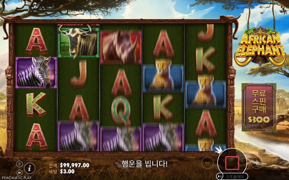 아프리칸 엘리펀트 첫 번째 스핀 정지 결과 실제 화면