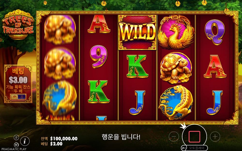 황금 나무와 WILD 아래로 문자 심볼이 흐르는 첫 회전 장면