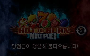 핫 투 번 멀티플라이어 모바일 화면에서는 불꽃 속 붉은 7과 HOT TO BURN MULTIPLIER 로고가 좁은 폭의 시작 카드에도 그대로 남습니다