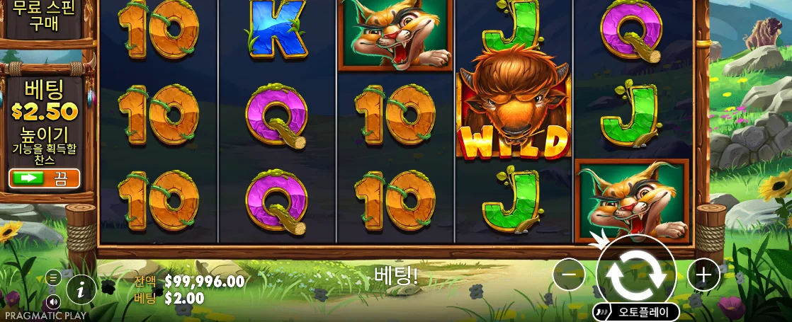 반복된 10 심볼과 들소 WILD가 보이는 릴리즈 더 바이슨 결과