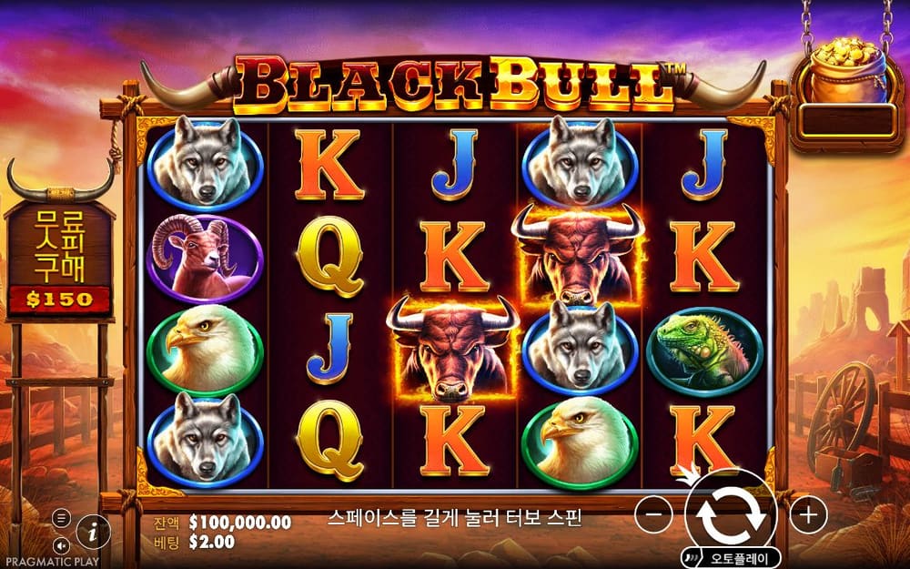 블랙 불 기본 보드와 하단 조작부 실제 화면