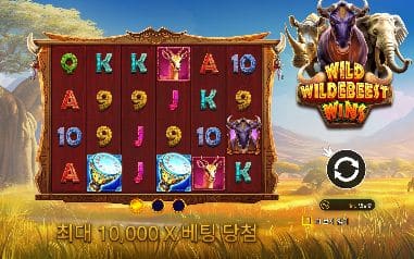 와일드 와일드비스트 윈스 모바일 화면에서는 6열 보드와 누 로고가 가로로 함께 들어옵니다