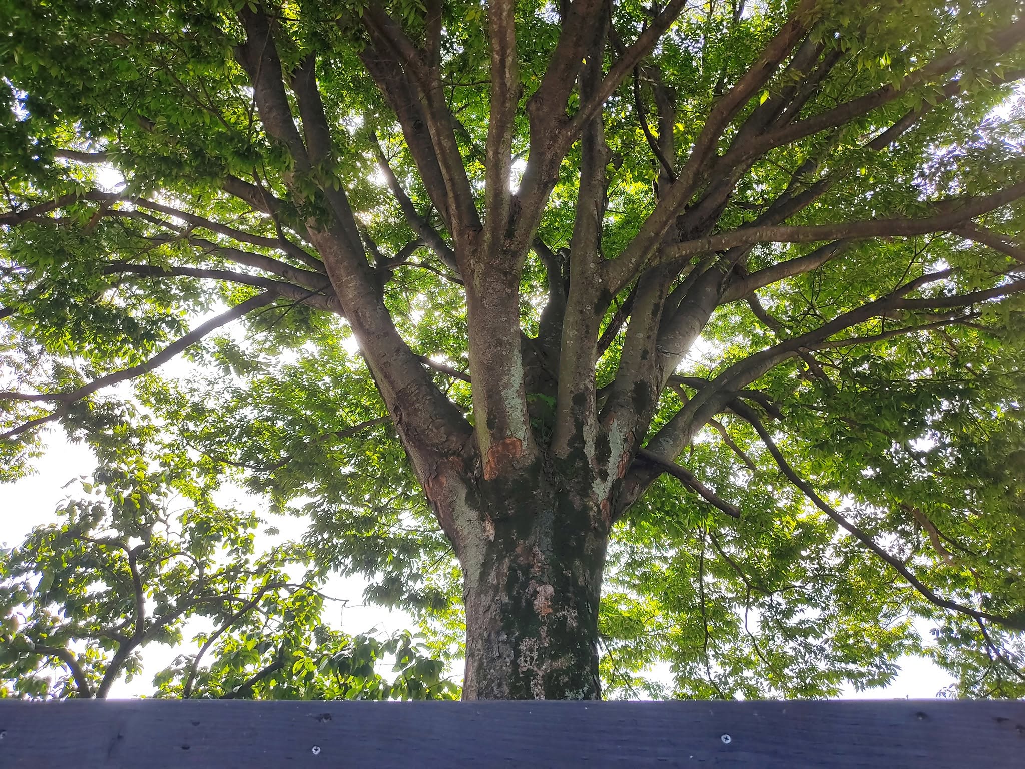 1008 06