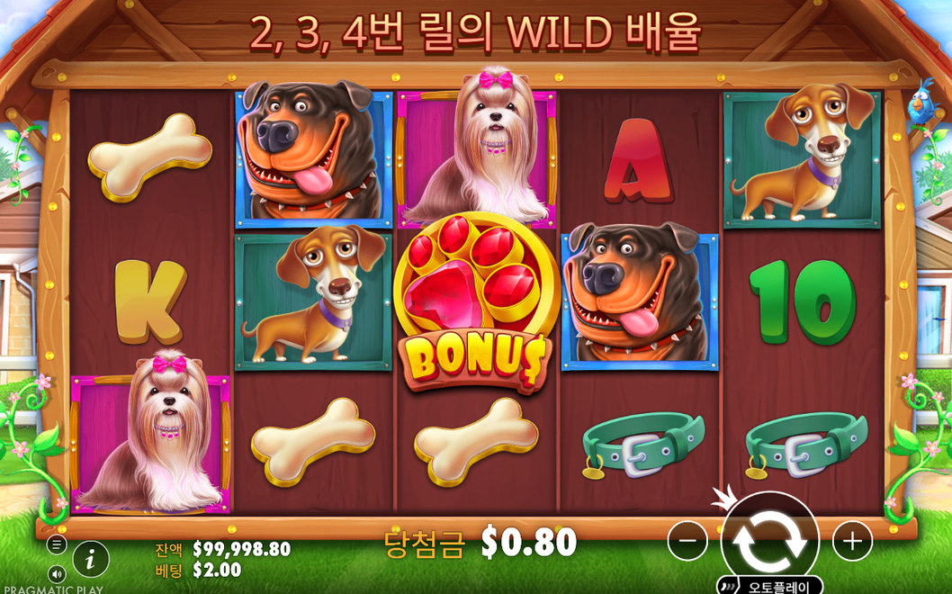 더 도그 하우스 0.80 결과 보드 슬롯 릴 실제 플레이 화면 장면