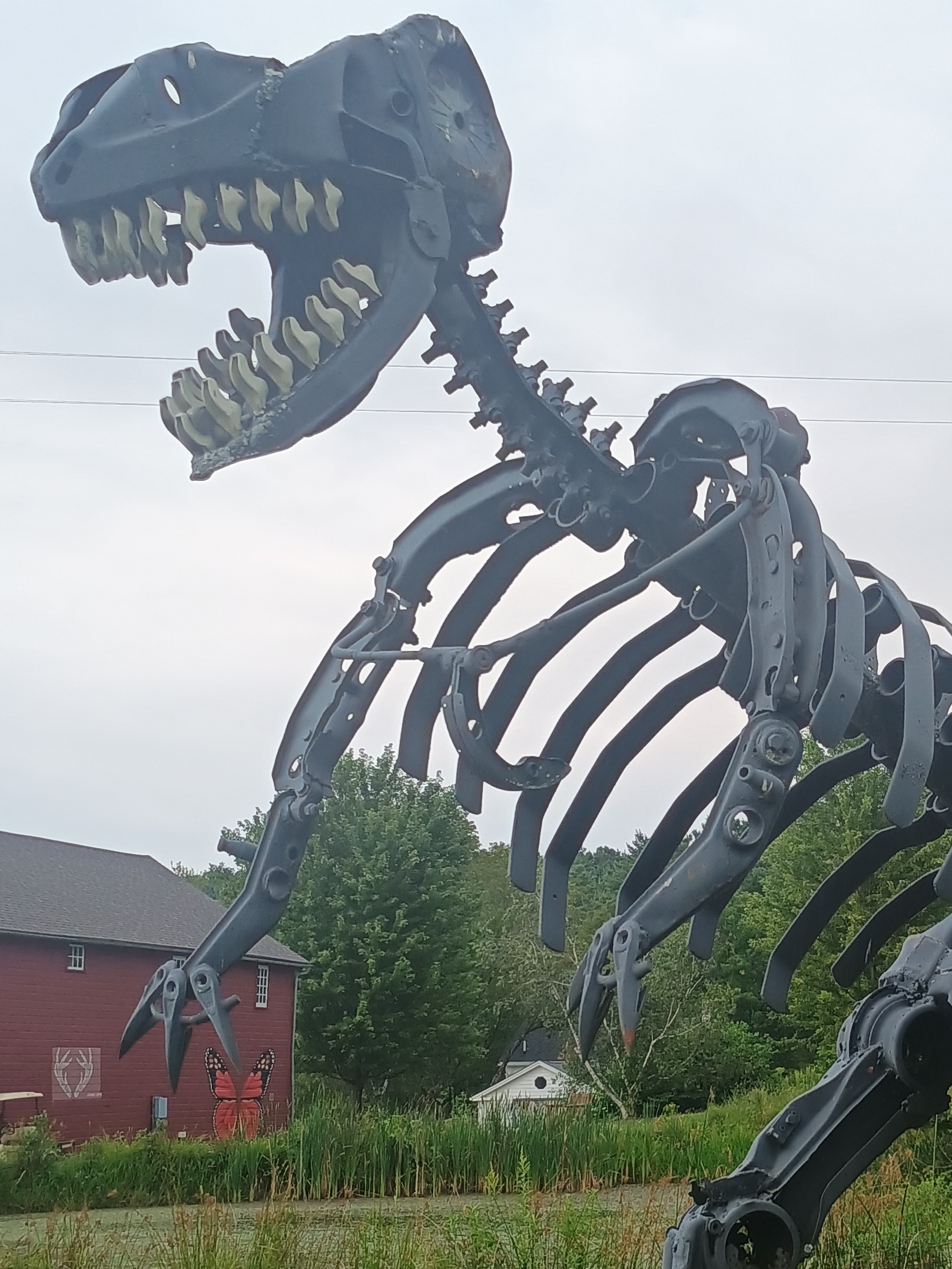IMG_20250816_084724777_HDR (2)