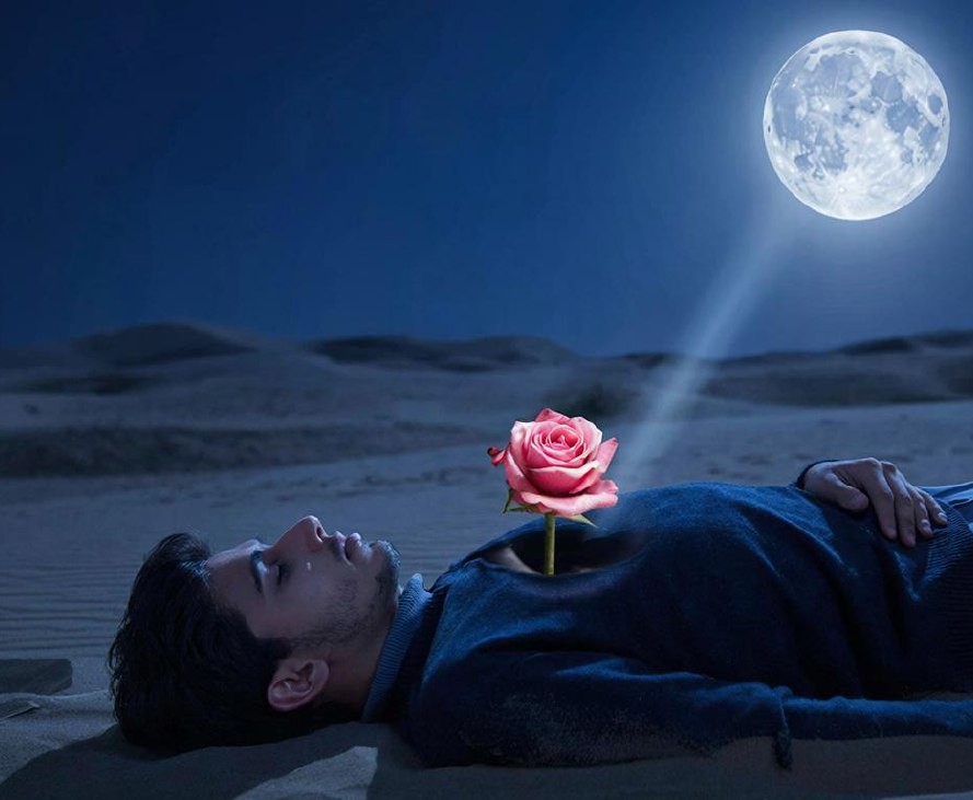 Rosa del desierto.jpg