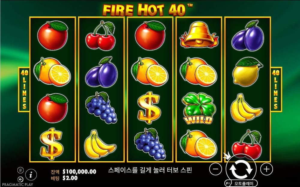 파이어 핫 40 사과·레몬·포도 배열이 앞 사진과 거의 같은 모습으로 유지됩니다