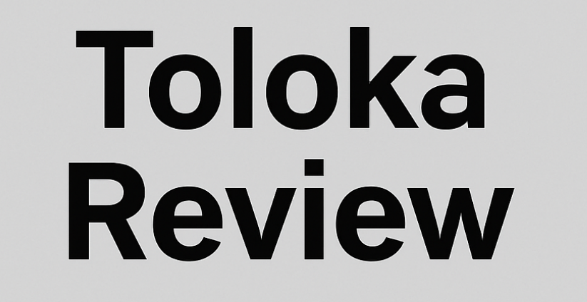 toloka review.png