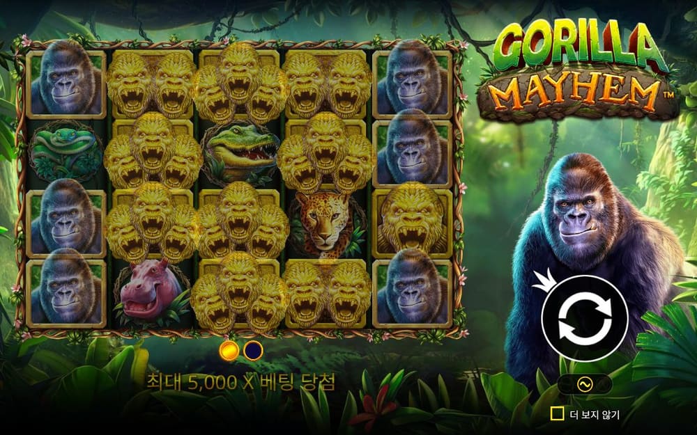 고릴라 메이험 GORILLA MAYHEM 로고 옆 큰 고릴라가 정글 속에 서 있습니다