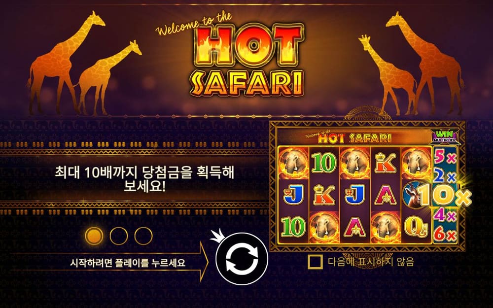 핫 사파리 첫 번째 스핀 정지 결과 실제 화면