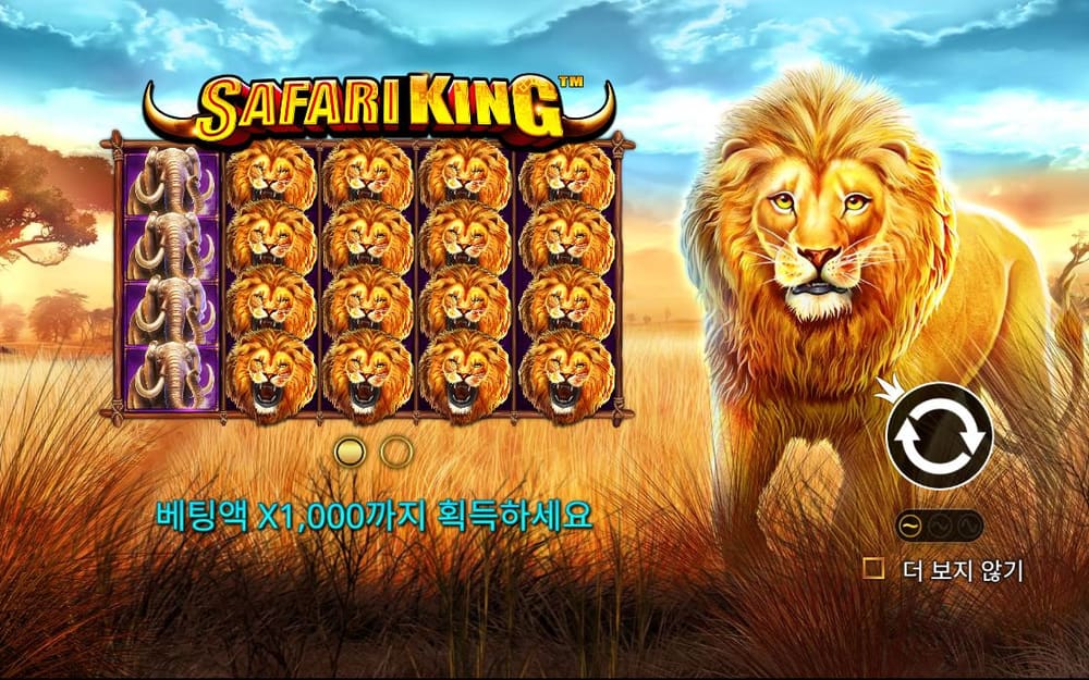 사파리 킹 SAFARI KING 로고 아래 보드 대부분을 사자 얼굴이 채우고 왼쪽 한 줄에는 고릴라가 쌓여 있습니다