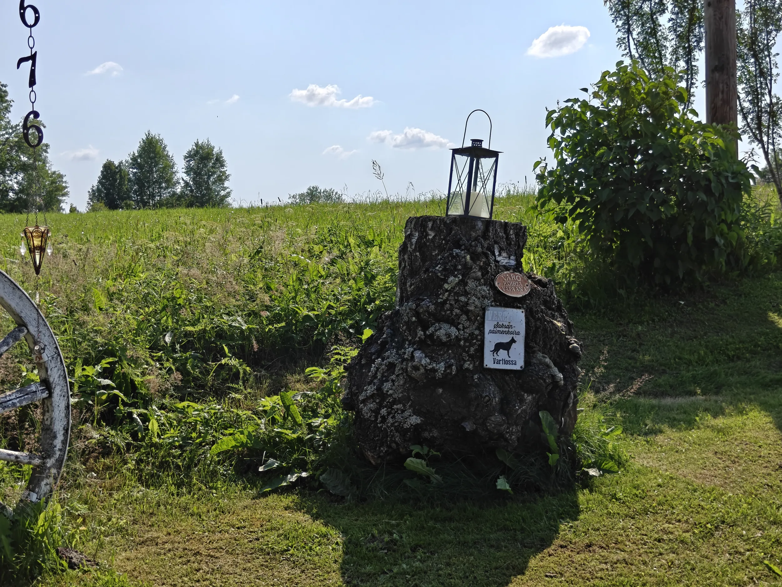 RuralDogSign.webp