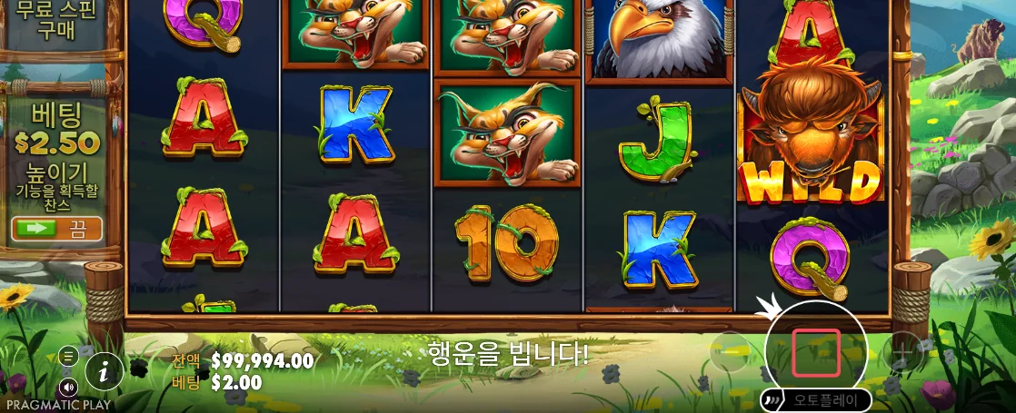 살쾡이와 들소 WILD가 함께 보이는 릴리즈 더 바이슨 회전 화면