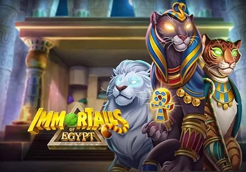 ImmorTails of Egypt 게임 대표 이미지