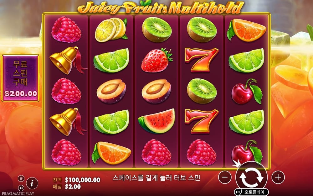 쥬시 프루츠 멀티홀드 붉은 과즙 배경과 오색 과일 격자