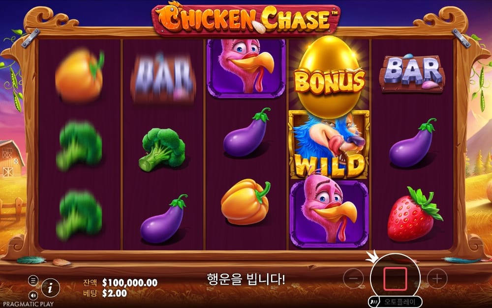 치킨 체이스 첫 회전의 BONUS 달걀과 WILD 심볼