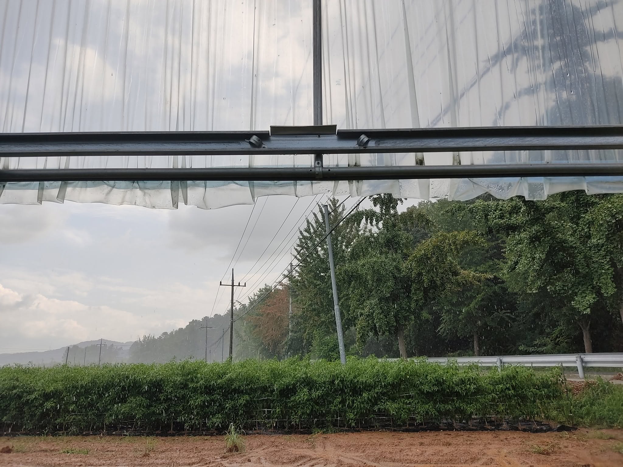 08-24-03