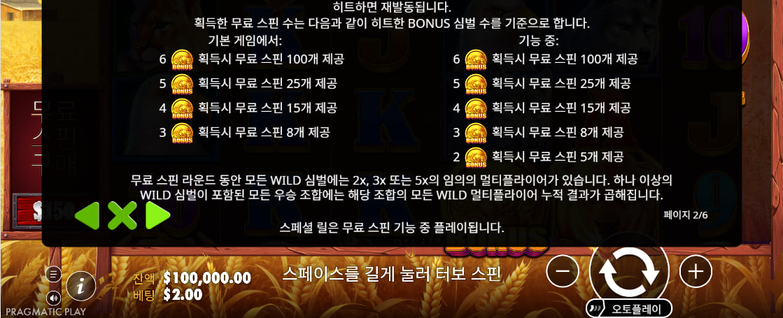 Buffalo King 규칙 화면에서 와일드 배수와 보너스 심볼 조건을 확인하는 장면