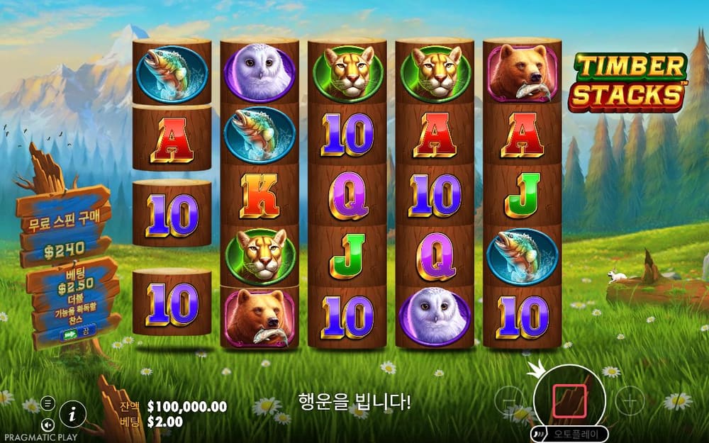 팀버 스택스 첫 번째 스핀 진행 중 실제 화면