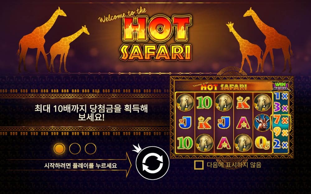 핫 사파리 첫 번째 스핀 진행 중 실제 화면