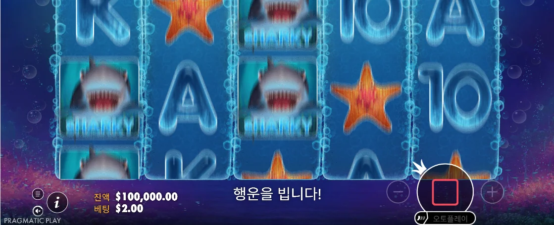 와일드 또는 스캐터를 식별하는 그레이트 리프 5릴 장면