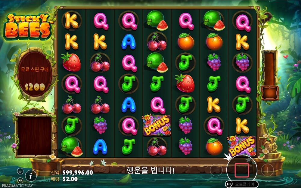 오른쪽 아래 보너스 심볼 두 개가 보이는 일반 결과