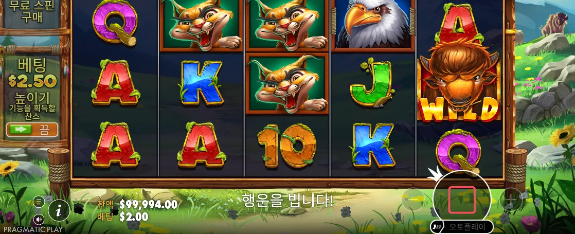 살쾡이 묶음과 다섯째 열 들소 WILD가 보이는 릴리즈 더 바이슨