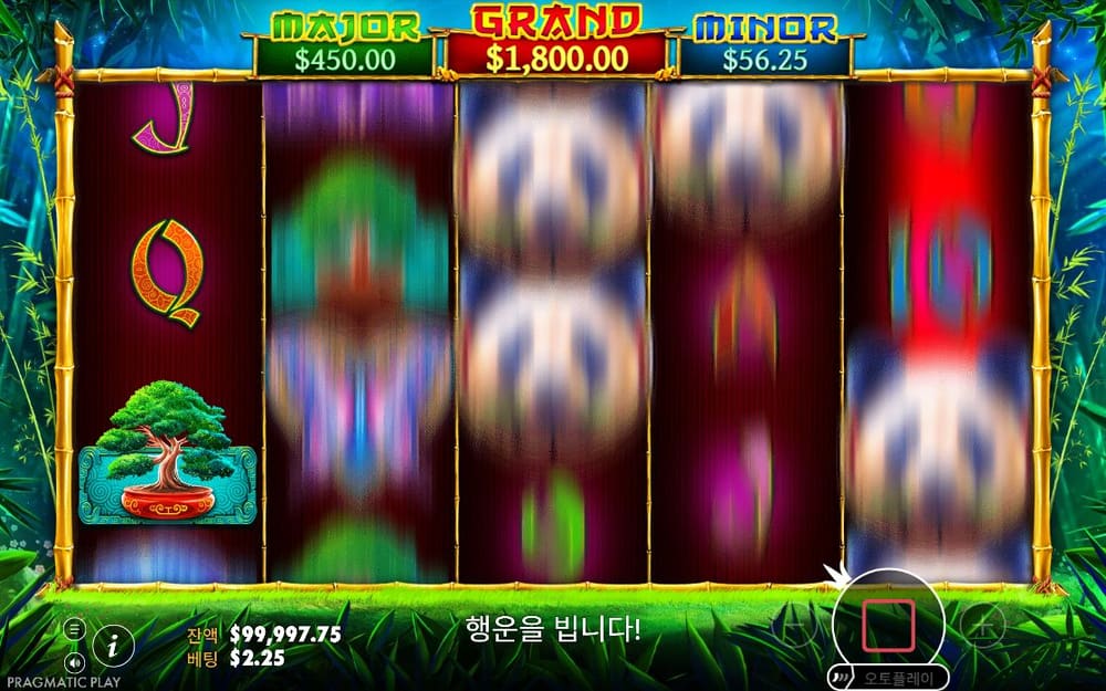 판다 포춘 두 번째 스핀 정지 결과 실제 화면