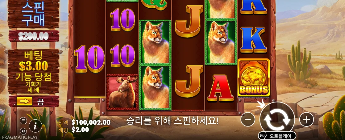 살쾡이 심볼과 BONUS 원형 표식이 보이는 버팔로 킹 메가웨이즈 화면