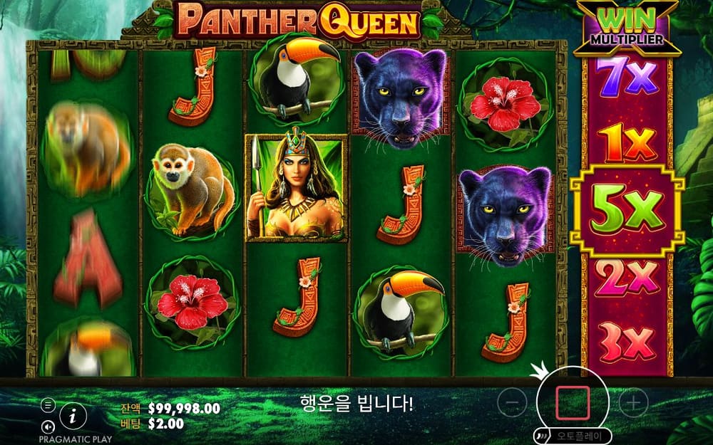 팬서 퀸 첫 번째 스핀 진행 중 실제 화면