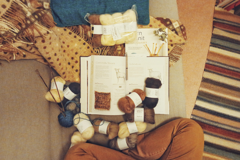 A horizontal colour photograph of my legs in mustard jeans crossed on a grey sofa at the edge of the image. In front of me is a mess of wool bundles ready to be spun, an open book about sheep with a pen in it, more wool packed, and tucked in a corner a blue ball of yarn with two knitting needles stuck into it. A teal pillow is at the other end of the sofa. A brown throw drapes messily on the back of the sofa. Next to the sofa is a salmon carpet and a colourful striped carpet.