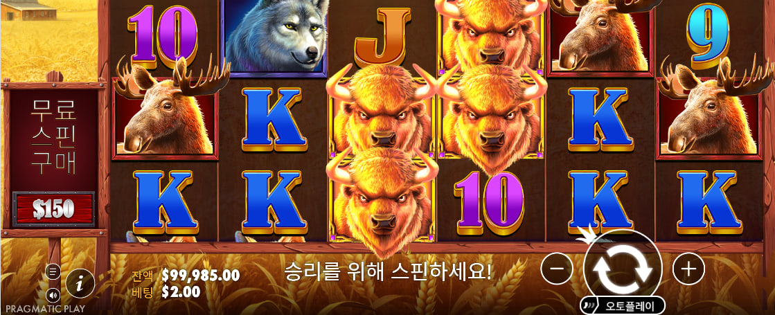 여러 동물 심볼과 문자 심볼 및 하단 정보 영역이 선명한 Buffalo King 기본판