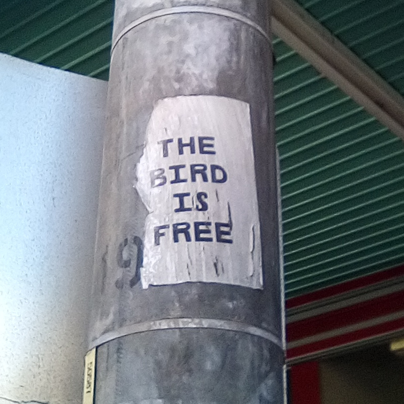 the-bird-is-free.jpg