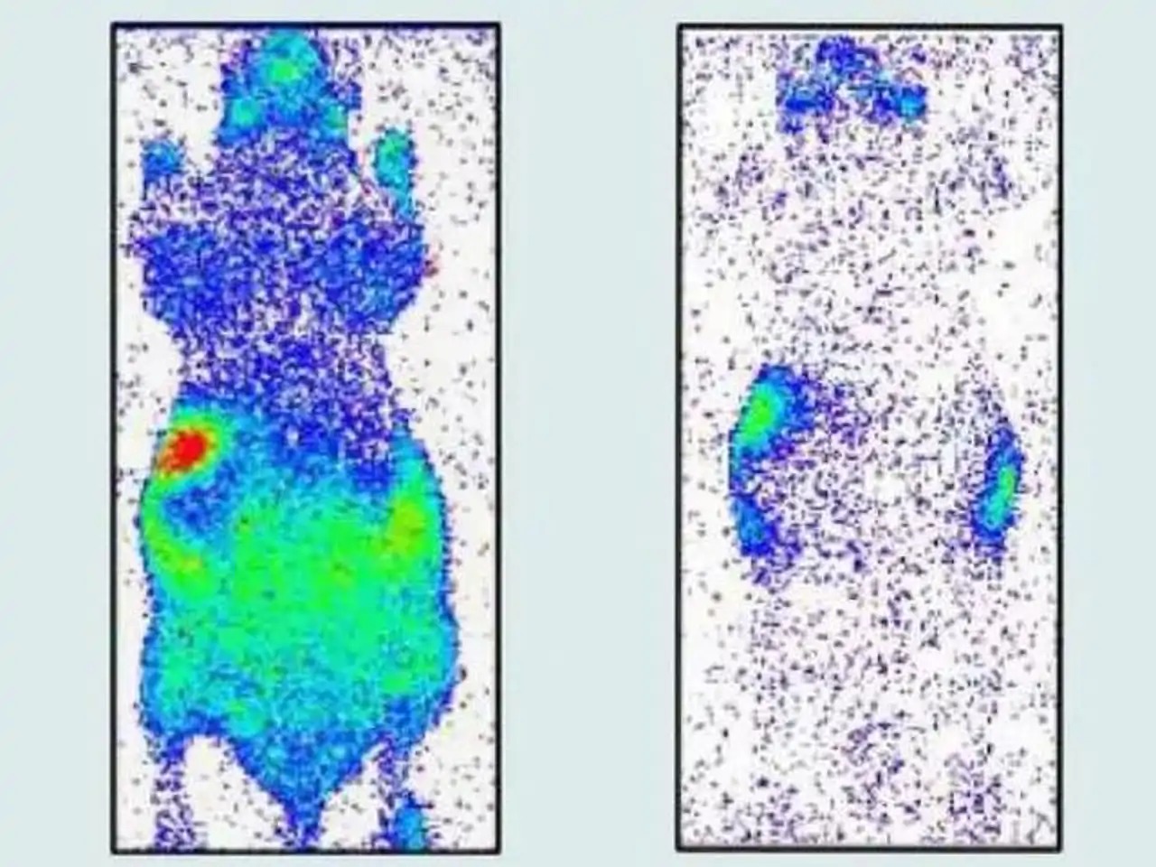 Imagen de WhatsApp 2025-05-21 a las 21.48.27_afce56e3.jpg