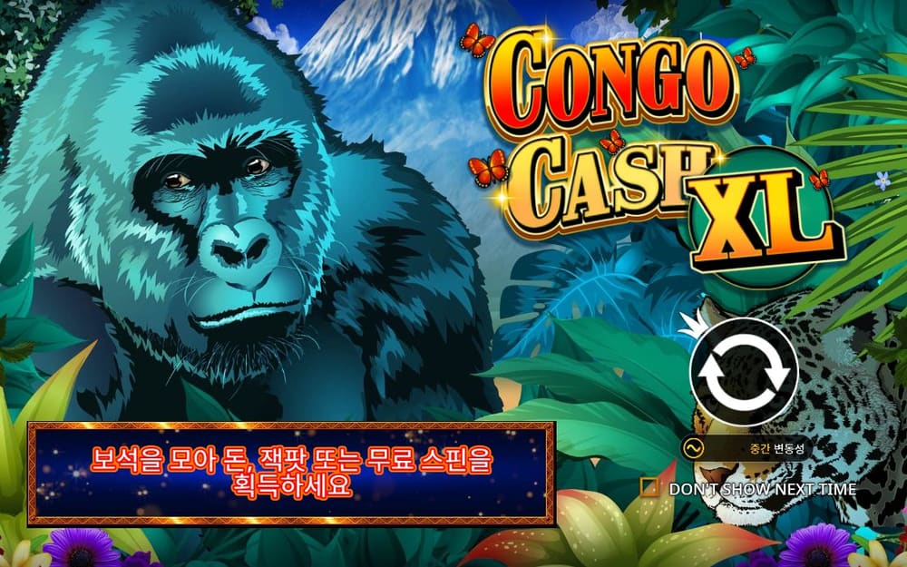 콩고 캐시 XL 고릴라의 얼굴과 주황색 CONGO CASH 글자가 제목 카드 대부분을 차지합니다